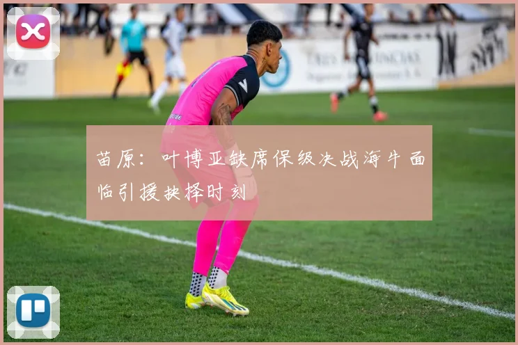 苗原：叶博亚缺席保级决战海牛面临引援抉择时刻